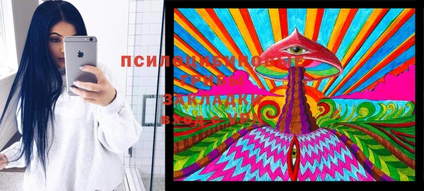 прущая мука Пролетарск