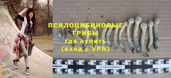 прущая мука Пролетарск
