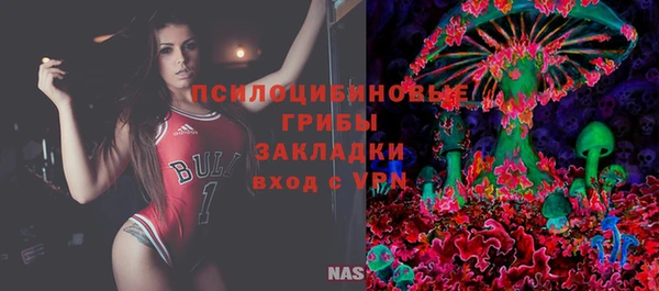 Альфа ПВП Рославль