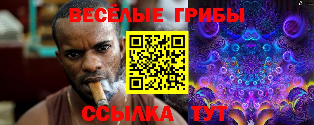 Галлюциногенные грибы ЛСД  Вход с VPN  Ревда 